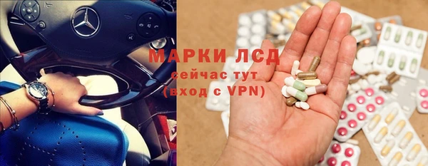 прущие грибы Богданович