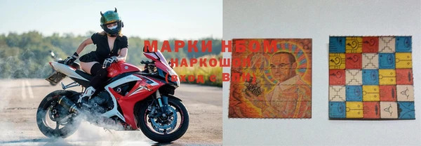 прущие грибы Богданович