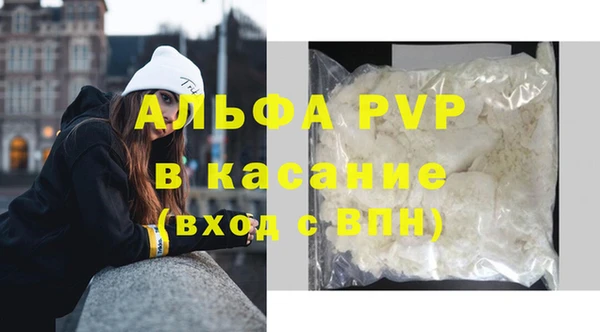 прущие грибы Богданович
