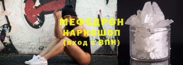 прущие грибы Богданович