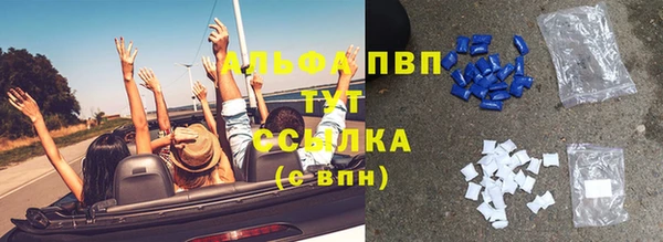 прущие грибы Богданович