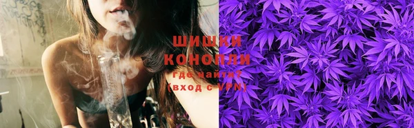 молекула духа Богородск