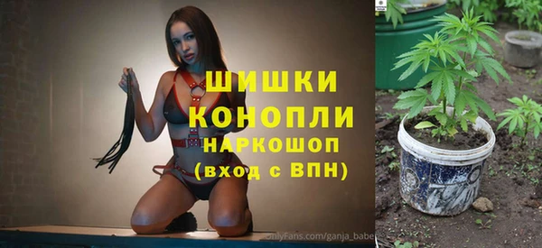 молекула духа Богородск