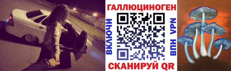 Галлюциногенные грибы Psilocybe  Тамбов 